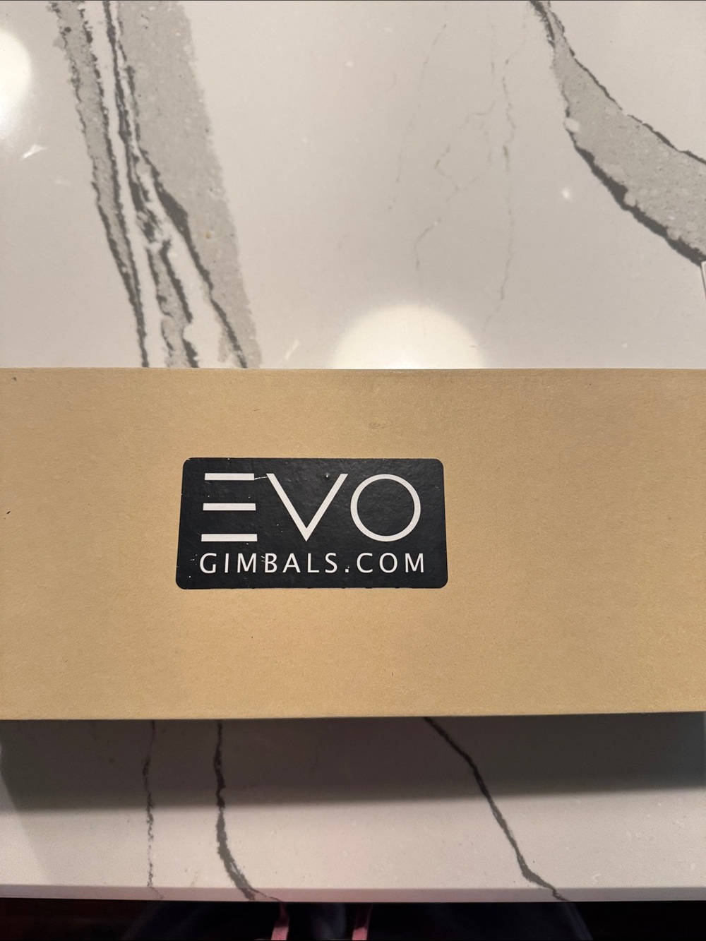 EVO gp go pro stabilizer